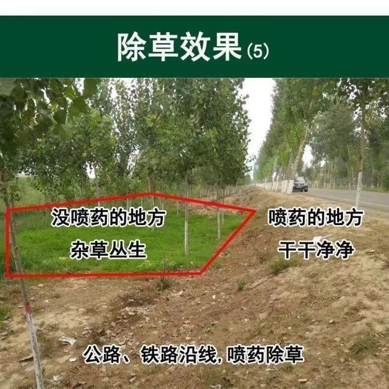 88.8%草甘膦铵盐除草剂果园荒地除杂草烂根杀所有柑橘槟