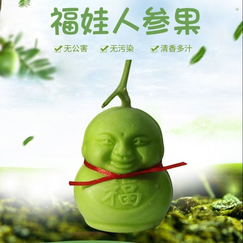 现摘人形人参果水果香瓜甜瓜福娃贡果节日礼物新鲜水果多规格