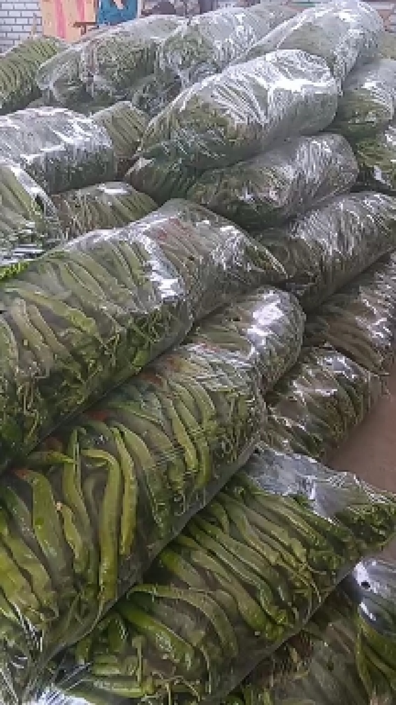 精品陇椒大降价量大从优
