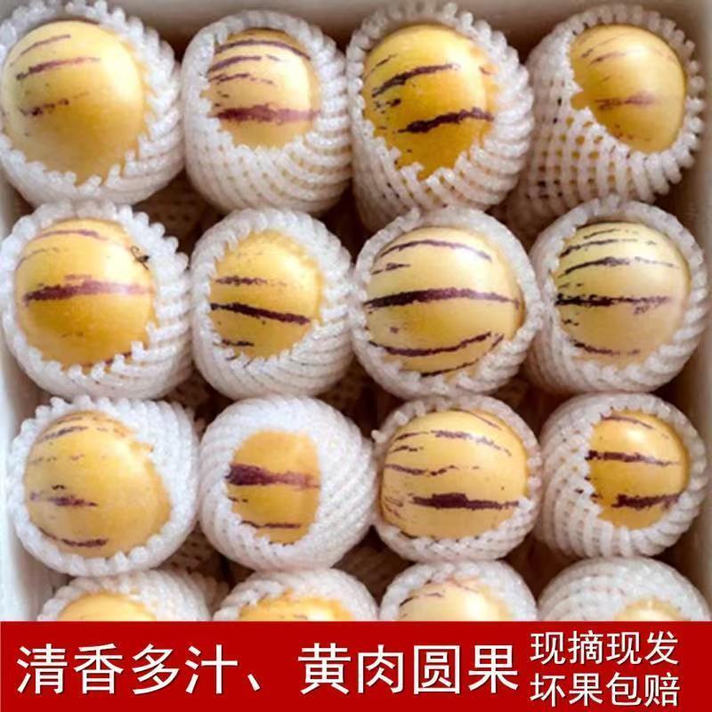 【一件代发】云南石林人参果新鲜圆果低糖黄肉水果整箱包邮