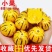 【一件代发】云南石林人参果新鲜圆果低糖黄肉水果整箱包邮