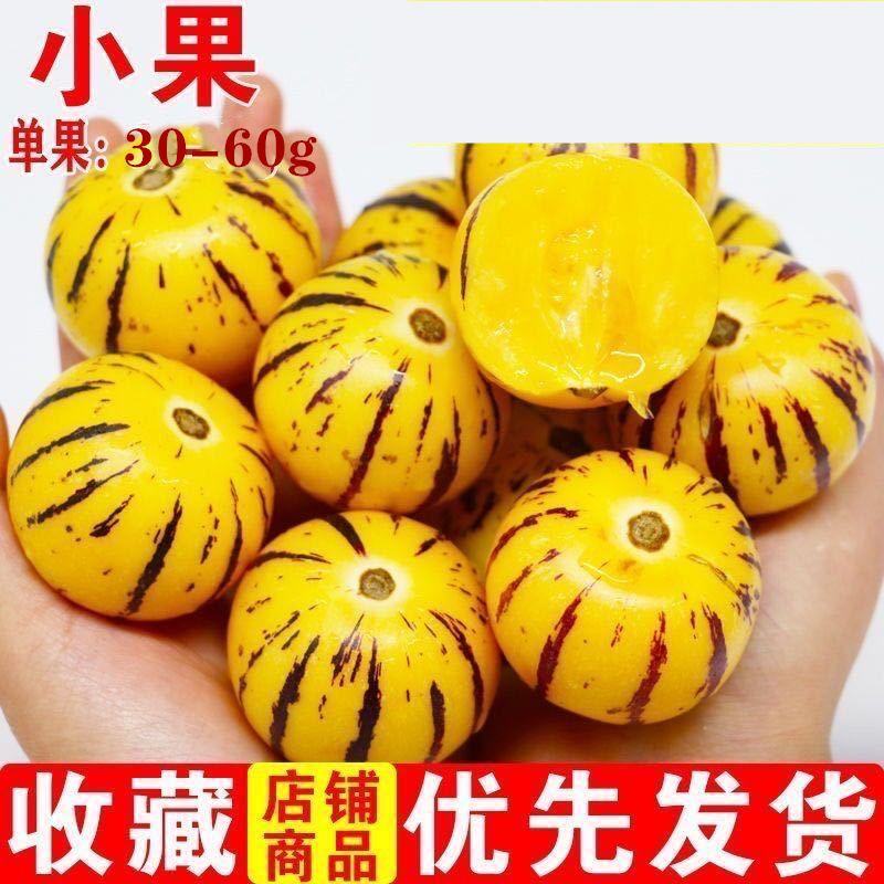 【一件代发】云南石林人参果新鲜圆果低糖黄肉水果整箱包邮