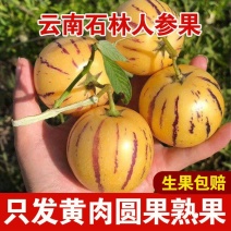 【树上熟】云南石林人参果新鲜圆果应季黄肉整箱水果包邮
