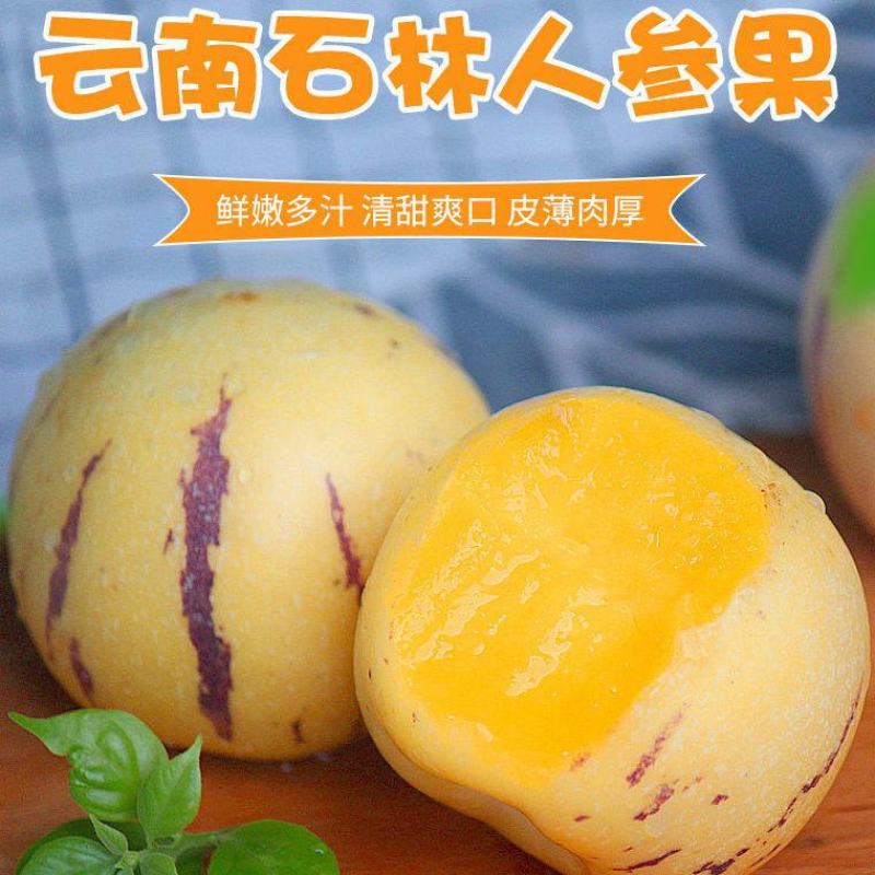 【树上熟】云南石林人参果新鲜圆果应季黄肉整箱水果包邮