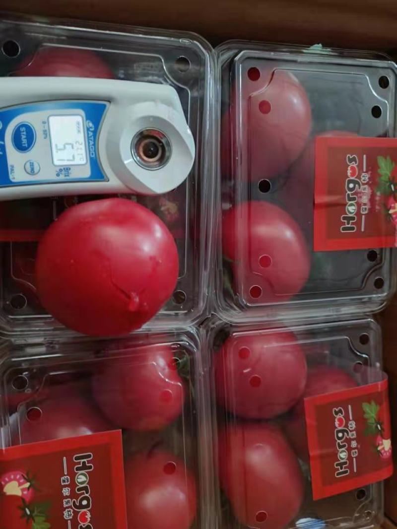 新疆普罗旺斯精品盒装