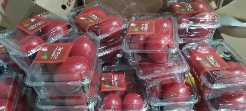 新疆普罗旺斯精品盒装