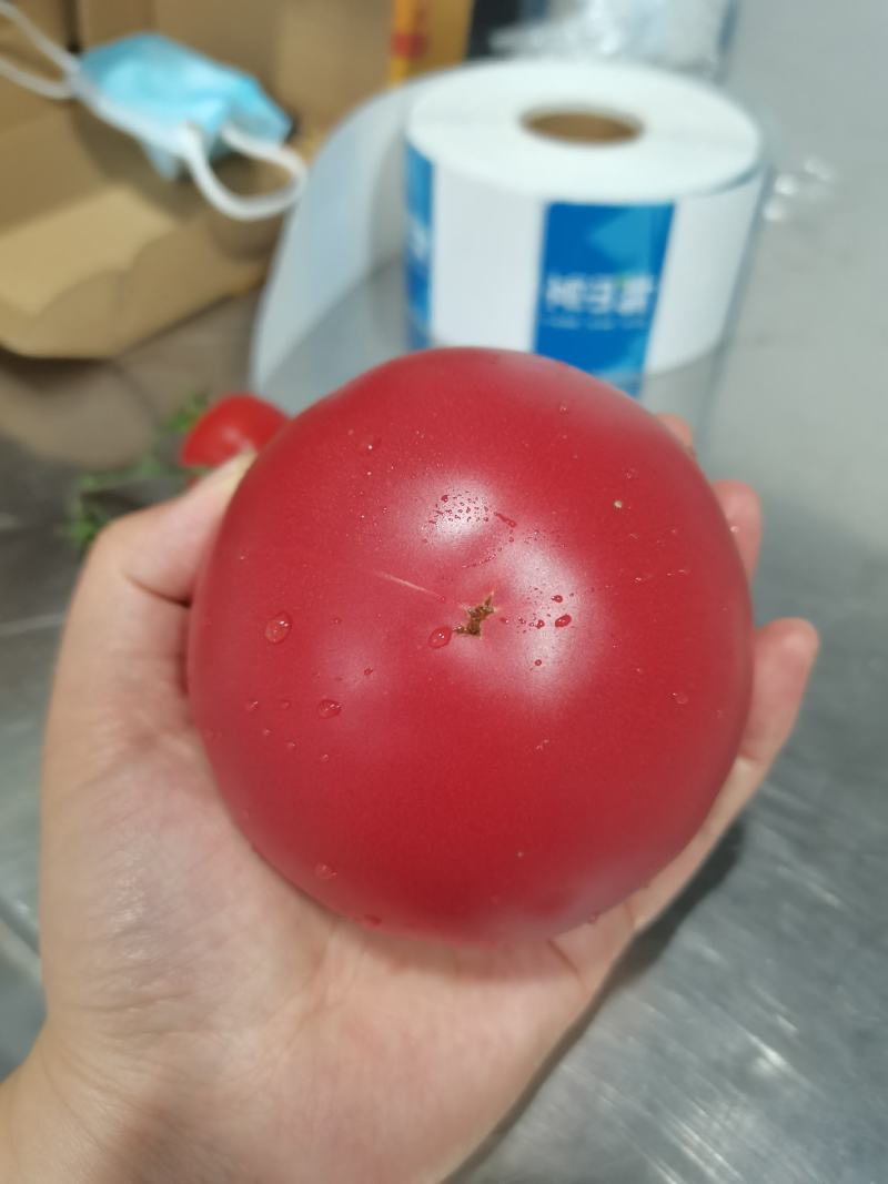 新疆普罗旺斯精品盒装