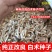 精品白术种子一手货源基地直发可视频看货和
