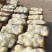 星甜24大量有货，甜度高，皮毛好，欢迎来电洽谈