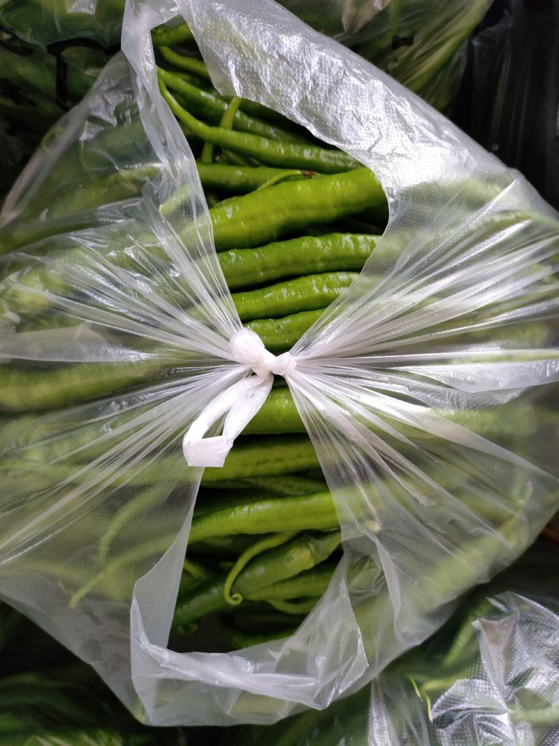 小青椒（新鲜二荆条海椒现货）