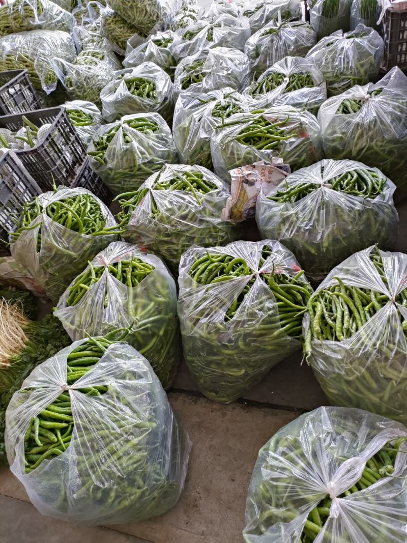 小青椒（新鲜二荆条海椒现货）