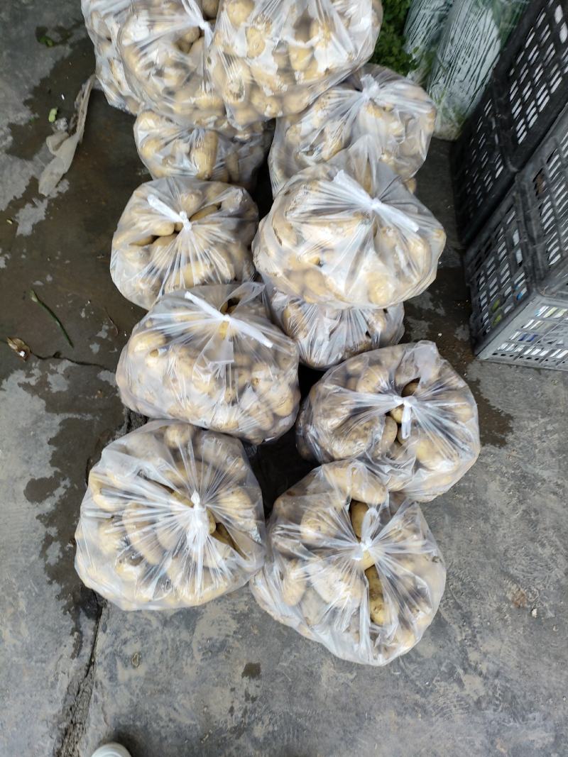 土豆（新鲜土豆现货）