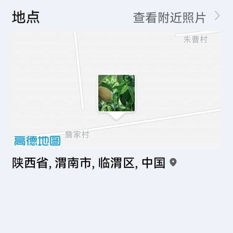 桃
