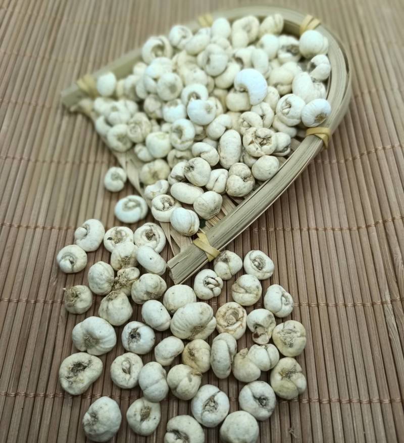 山桃仁新货颗粒饱满各种中药材养生花茶批发地道药材