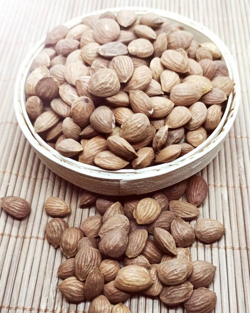 山桃仁新货颗粒饱满各种中药材养生花茶批发地道药材