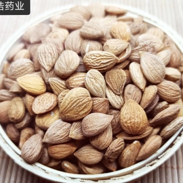 杏仁新货颗粒饱满各种中药材养生花茶批发地道药材