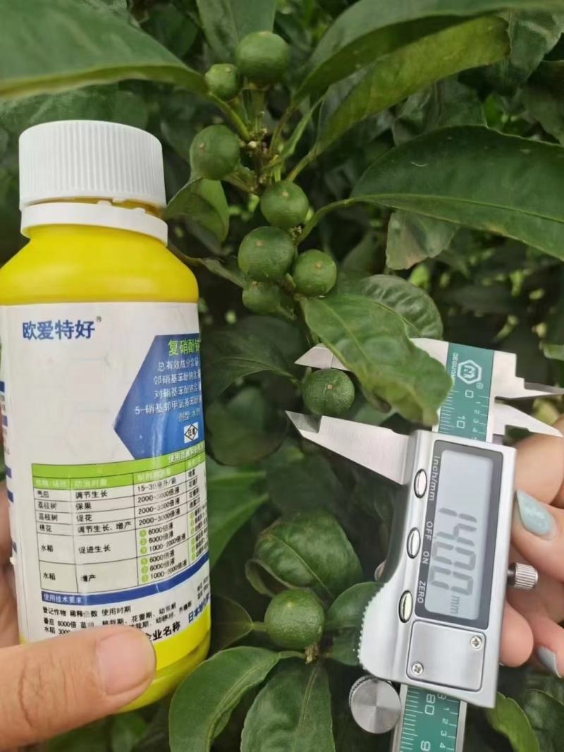 日本旭化复硝酚钠保花保果膨果着色发芽分化生根壮苗