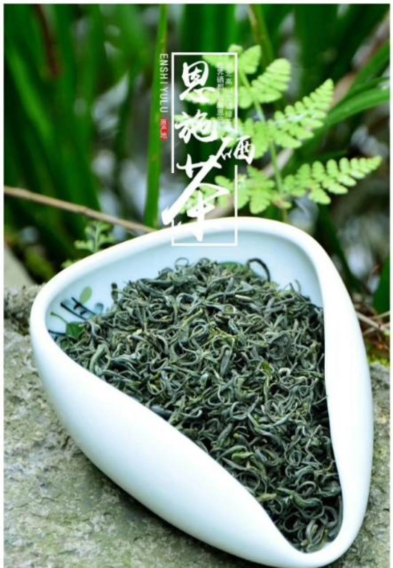 供应绿茶炒青新茶香茶毛尖茶春茶清明茶湖北绿茶恩施边远山区