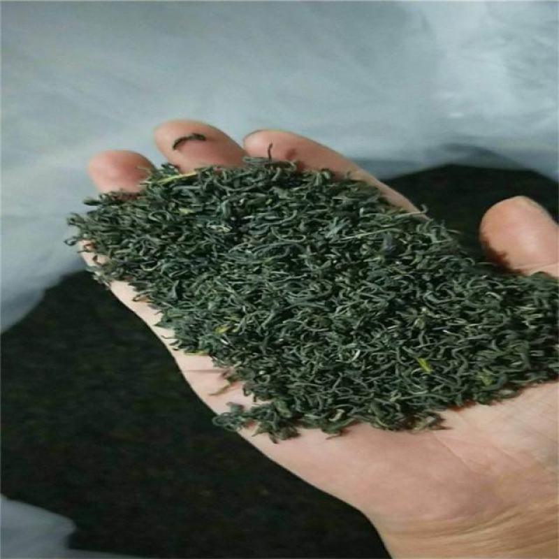 供应绿茶炒青新茶香茶毛尖茶春茶清明茶湖北绿茶恩施边远山区