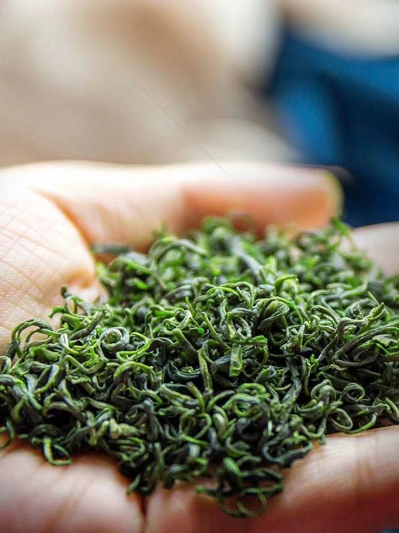 供应绿茶炒青新茶香茶毛尖茶春茶清明茶湖北绿茶恩施边远山区