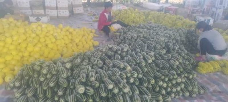 精品博洋九大量上市有需要的老板联系