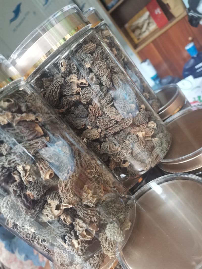 【香格里拉野生羊肚菌】小号肉质厚实香味浓郁假一赔