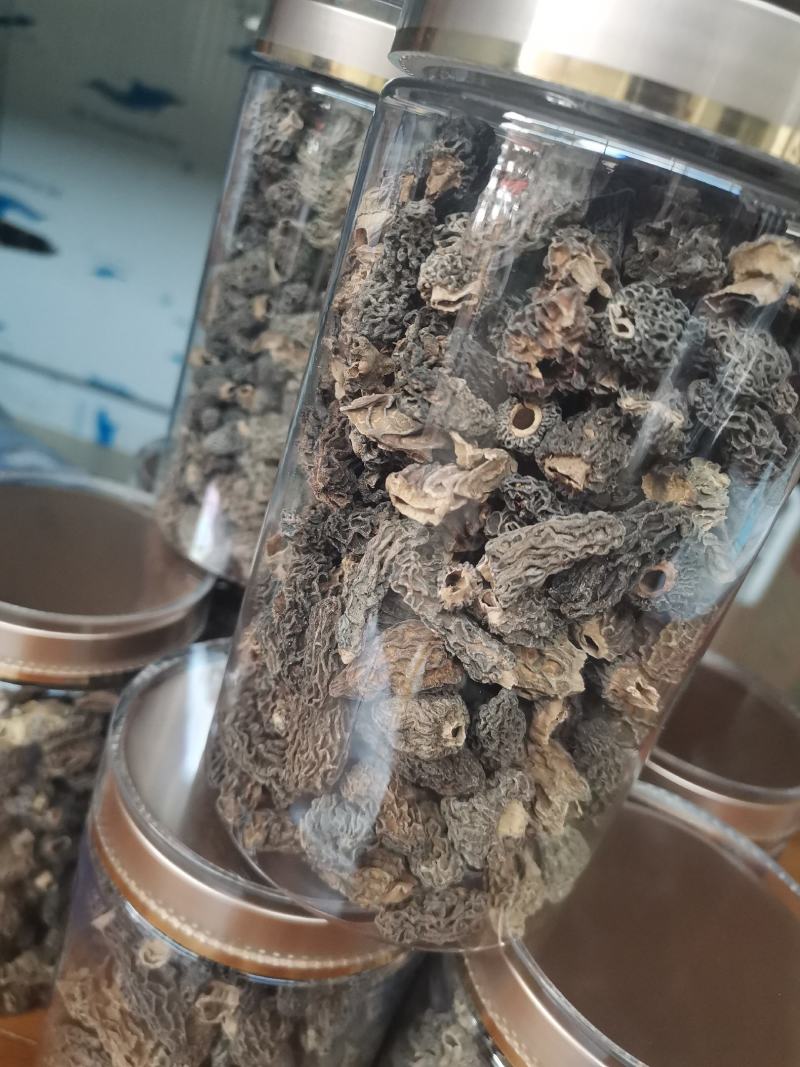 【香格里拉野生羊肚菌】小号肉质厚实香味浓郁假一赔