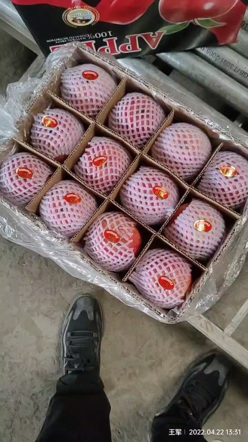 陕西纸袋秦冠商品果，纸箱，黑框，大铁框，大量现货供应！