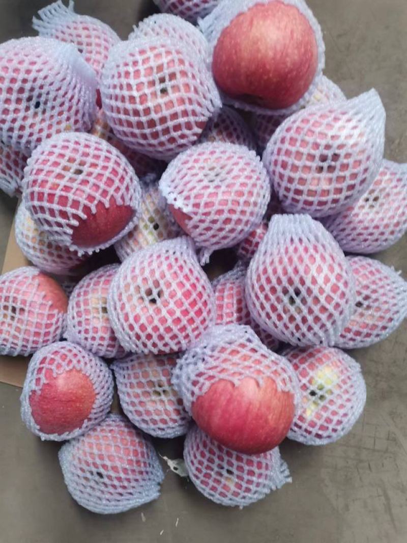 陕西纸袋秦冠商品果，纸箱，黑框，大铁框，大量现货供应！