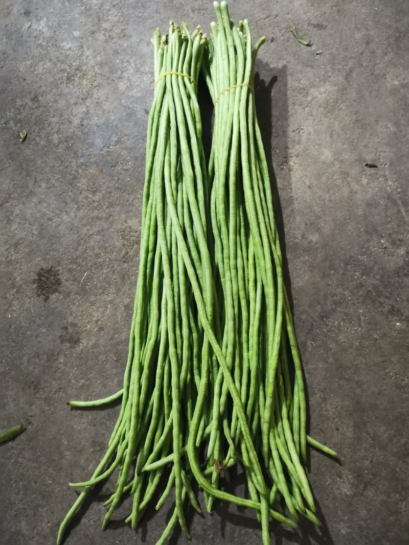 精品绿豇豆