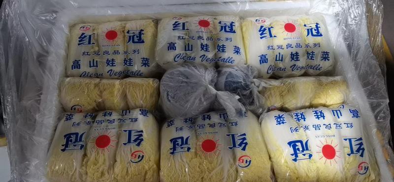 昆明娃娃菜