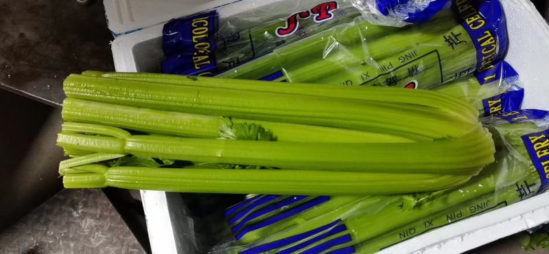 昆明娃娃菜