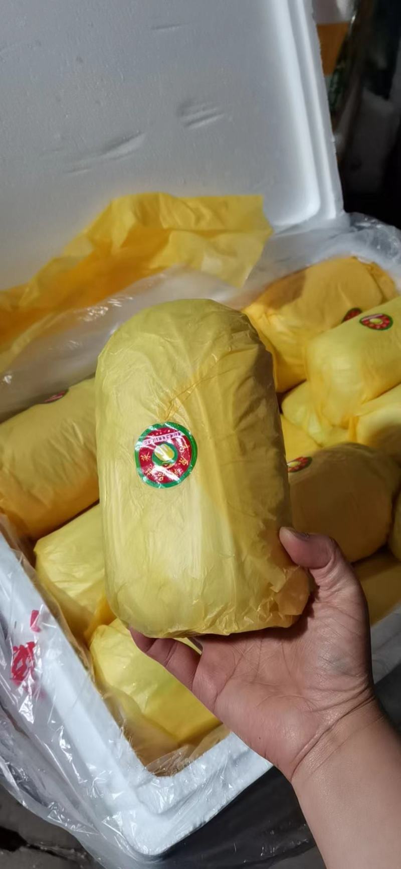 昆明娃娃菜