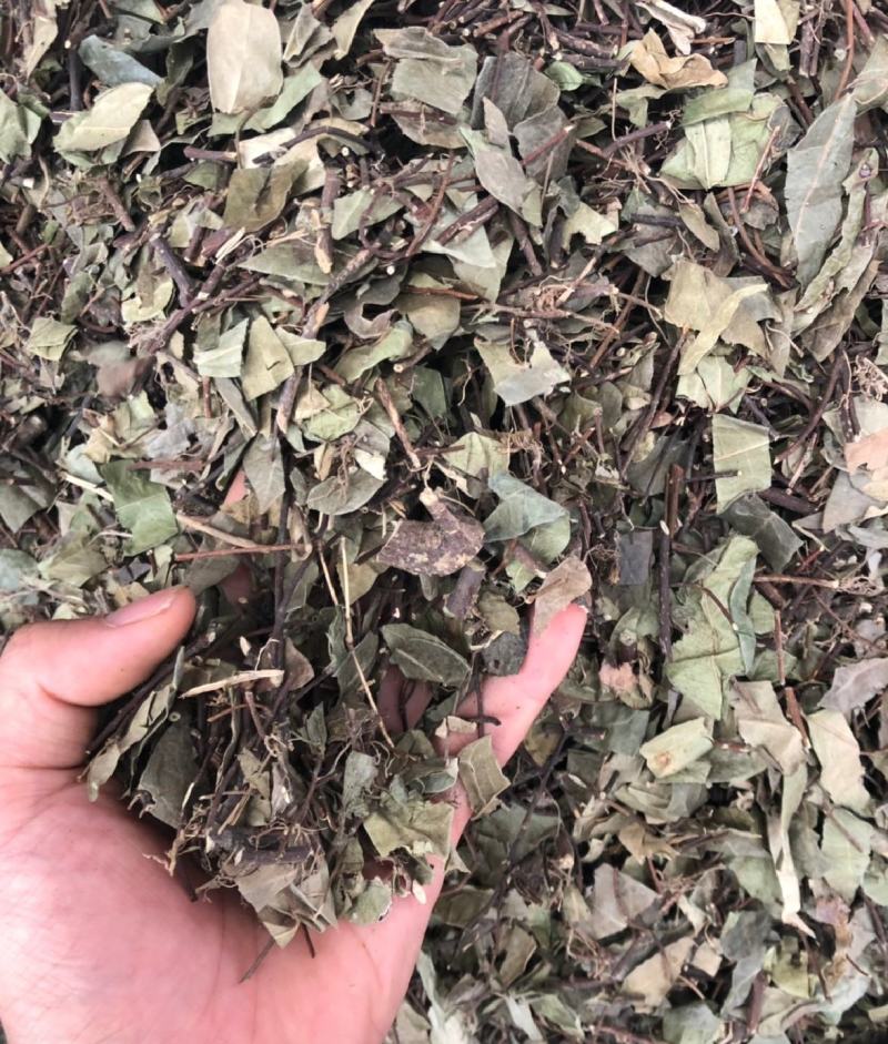 络石藤统装500g产地山东振兴药材购销站量大从优