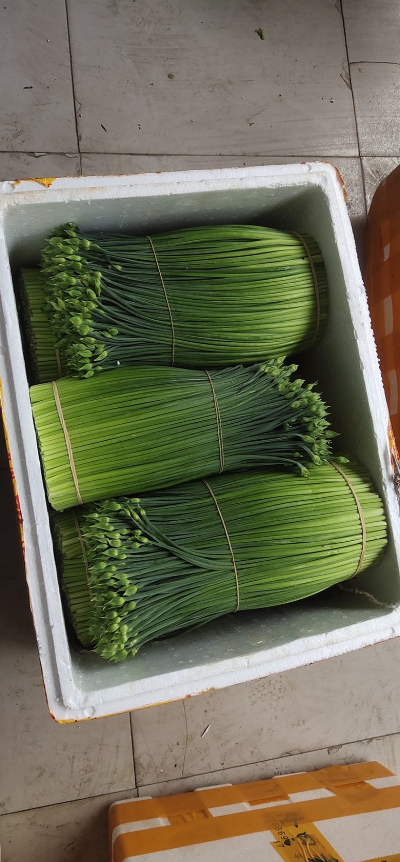 【推荐】广东韭菜花全国代发量大从优欢迎来电咨询