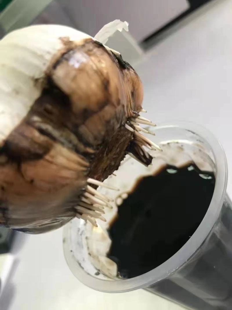 矿源黄腐酸钾改良土壤生根养根，固氮解钾