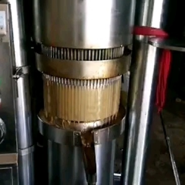新型螺旋榨油机自动温控，一机多用，渣少油多