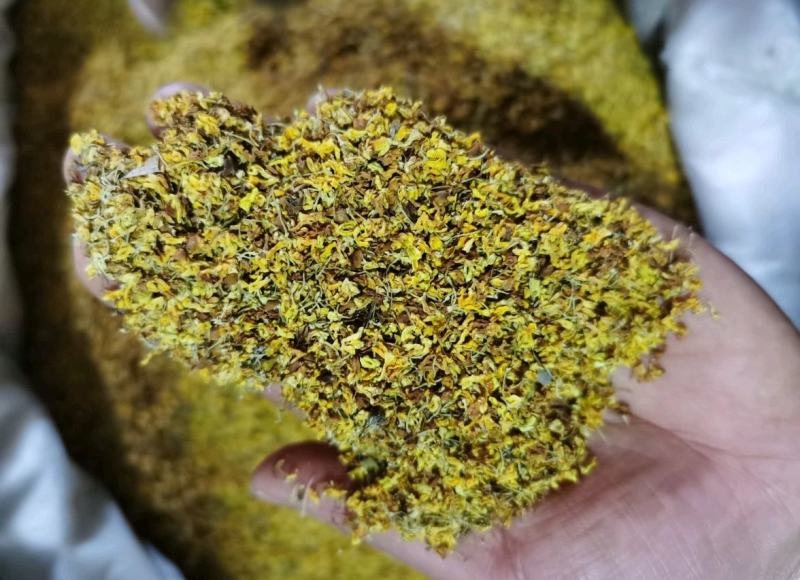 振兴药材批发供应桂花常年供应价格便宜