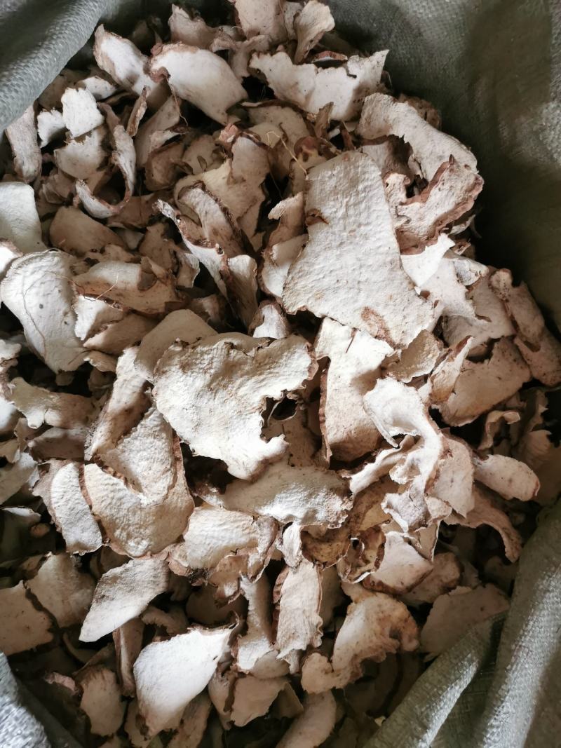 绵萆薢萆薢正品绵萆薢