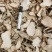 绵萆薢萆薢正品绵萆薢