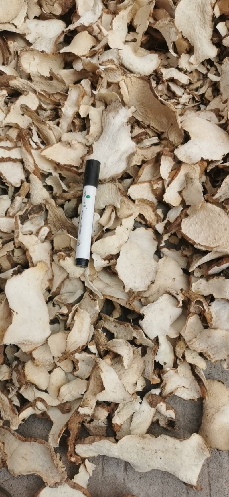 绵萆薢萆薢正品绵萆薢