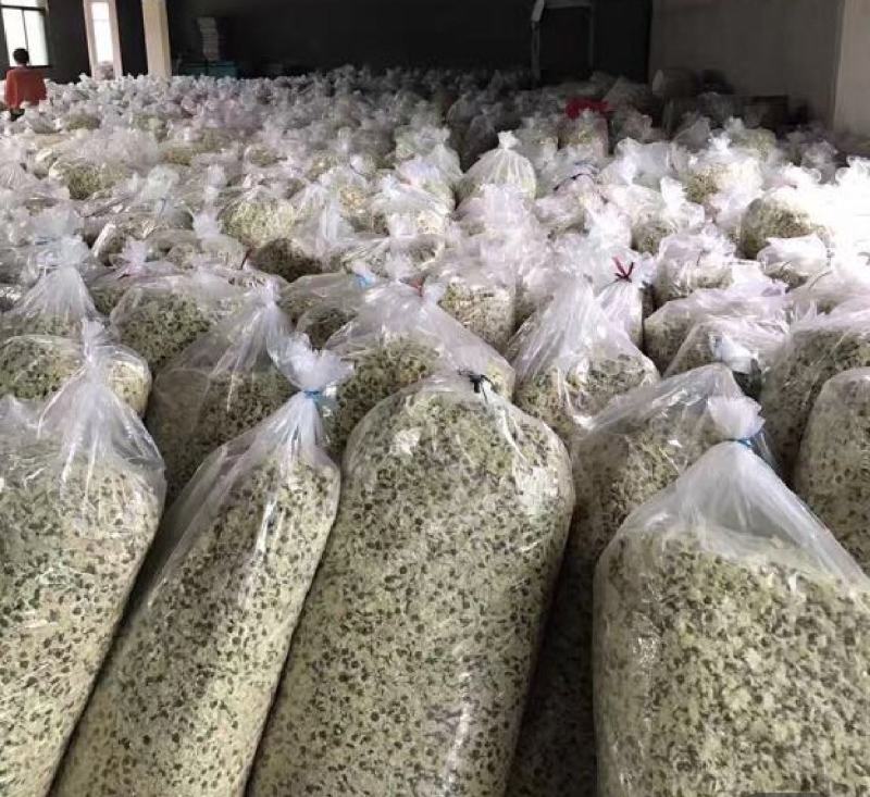 振兴药材批发供应七月贡菊保质保量常年供应诚信合作