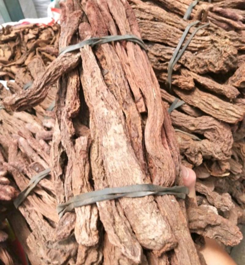 振兴药材批发供应选锁阳个规格齐全产地直供一手货源全国发货