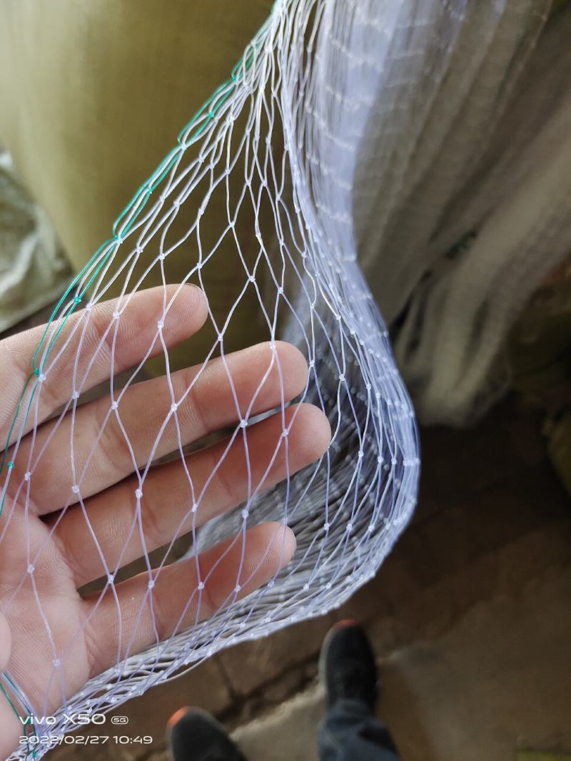 防鸟网
