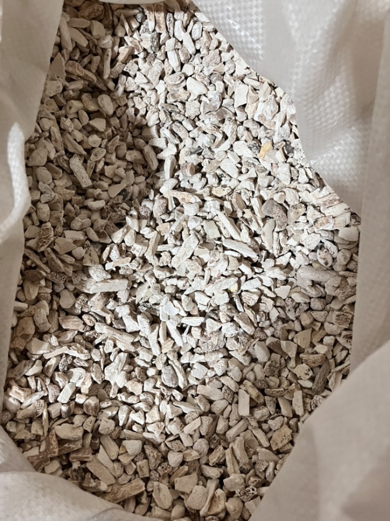 龙骨小颗粒正品货质量保证物美价廉精选货需要联系