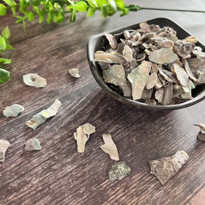 正品石决明实物拍摄精选货质量保证批发各种矿石