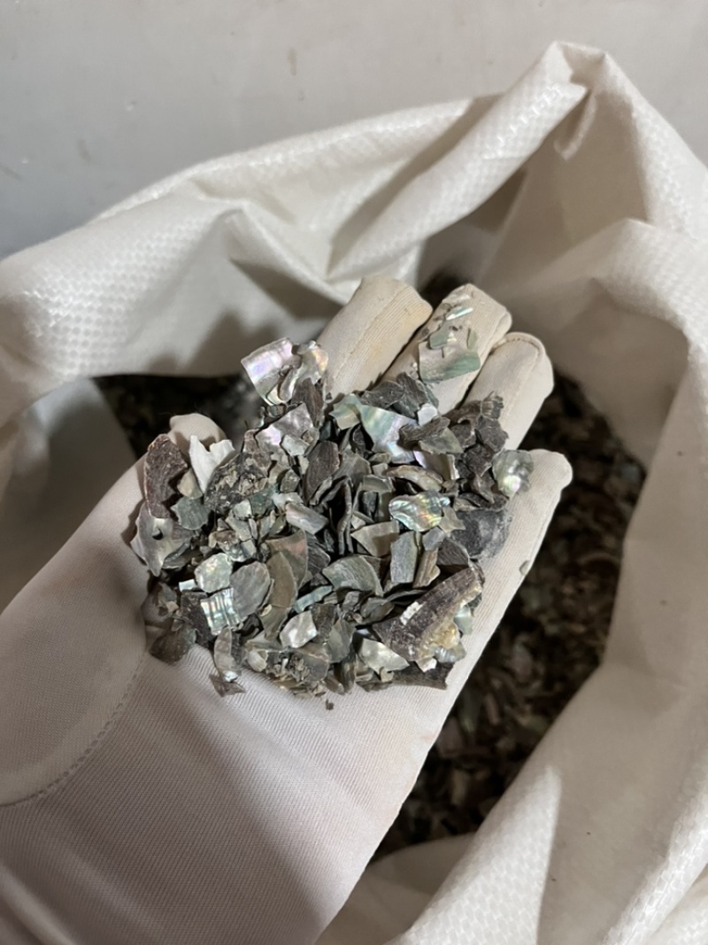 正品石决明实物拍摄精选货质量保证批发各种矿石