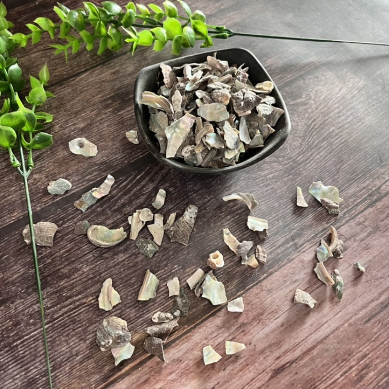 正品石决明实物拍摄精选货质量保证批发各种矿石