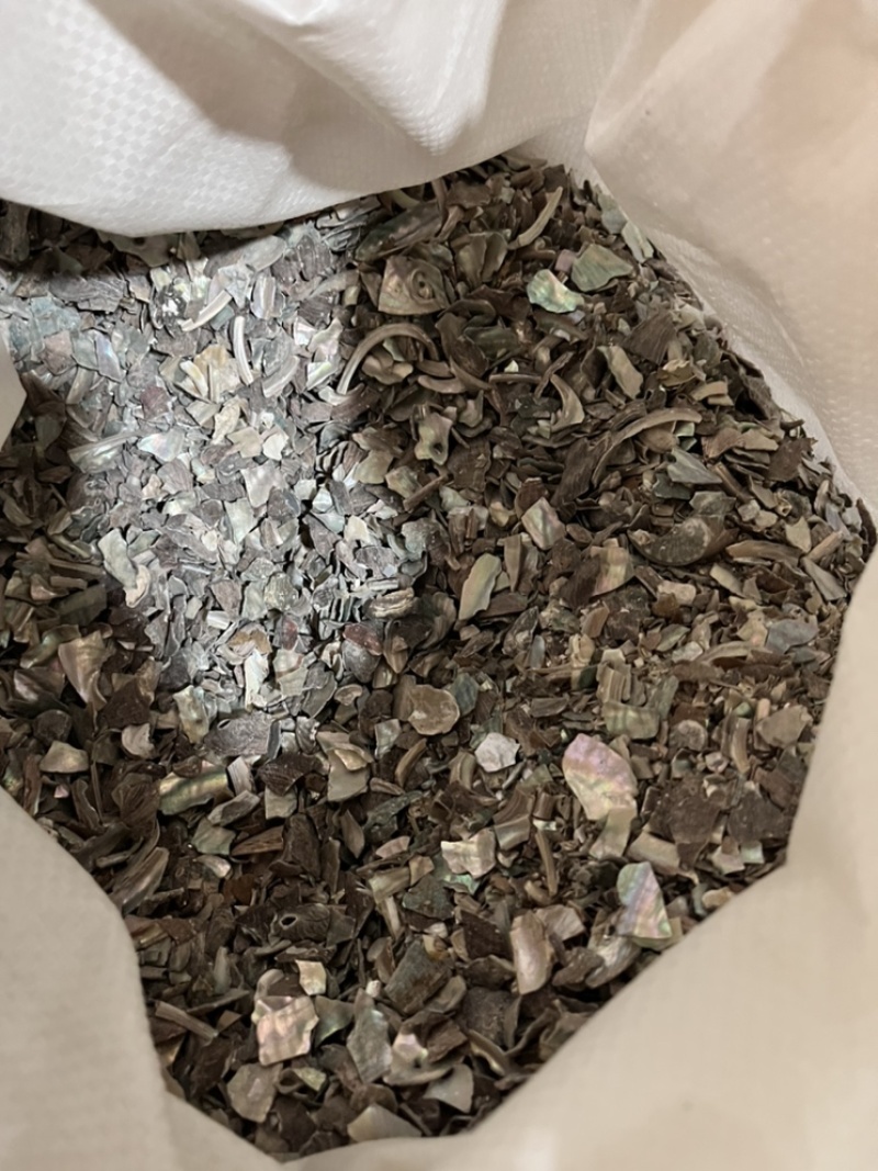 正品石决明实物拍摄精选货质量保证批发各种矿石