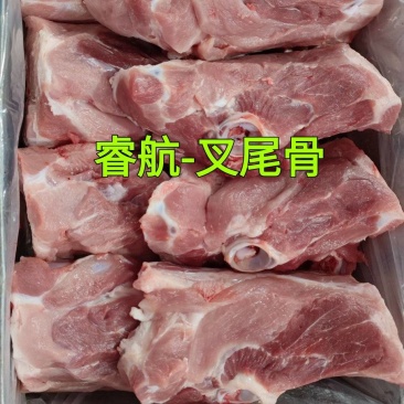 睿航尾叉骨，叉尾骨，叉骨，睿航叉尾骨，尾叉骨，尾骨